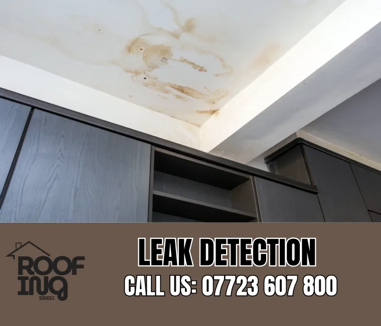 Roof Leak Detection in Newquay