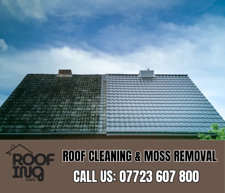 Roof Cleaning in Newquay